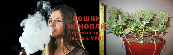 apvp Вязьма