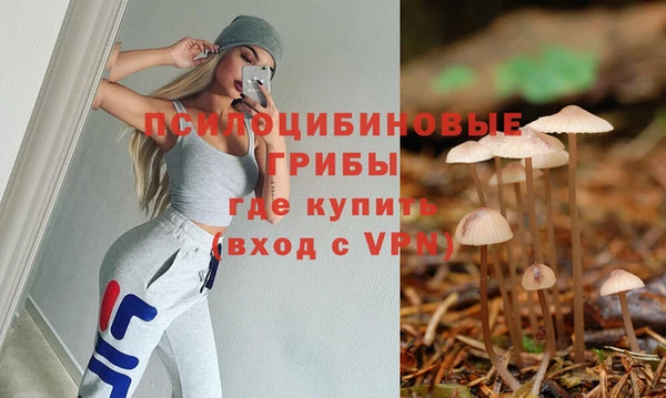 прущие крисы Вяземский