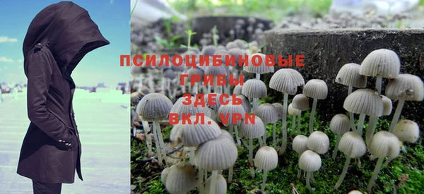 прущие крисы Вяземский
