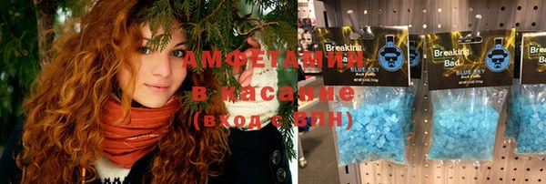 прущие крисы Вяземский