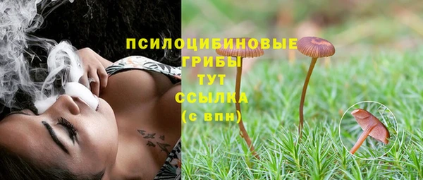 прущие крисы Вяземский